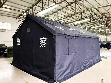 91蜜桃成品人视频入口