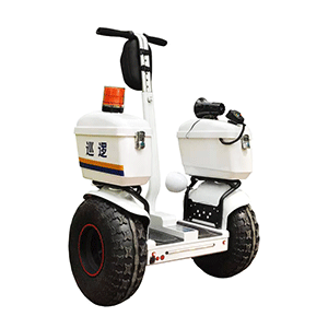 91蜜桃成品人视频入口