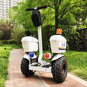 91蜜桃成品人视频入口