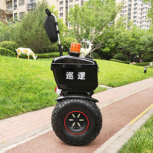 91蜜桃成品人视频入口