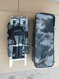 91蜜桃成品人视频入口