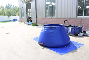 91蜜桃成品人视频入口