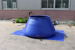 91蜜桃成品人视频入口