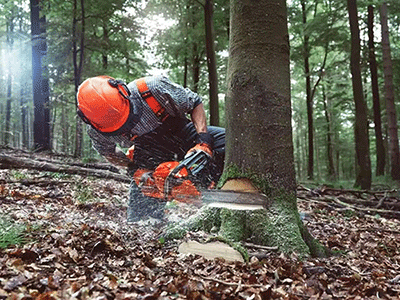 91蜜桃成品人视频入口