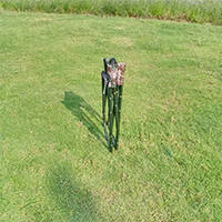 91蜜桃成品人视频入口