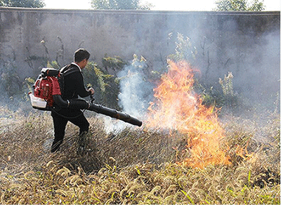 91蜜桃成品人视频入口