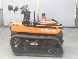 91蜜桃成品人视频入口