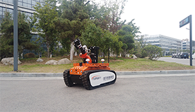 91蜜桃成品人视频入口