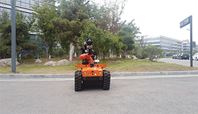 91蜜桃成品人视频入口