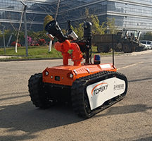 91蜜桃成品人视频入口