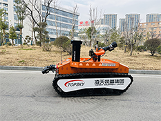 91蜜桃成品人视频入口