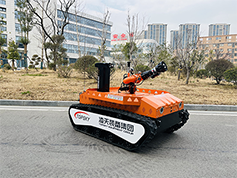 91蜜桃成品人视频入口