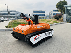 91蜜桃成品人视频入口