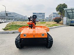 91蜜桃成品人视频入口