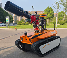 91蜜桃成品人视频入口