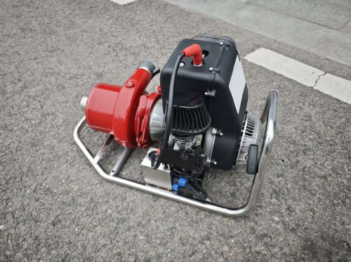 91蜜桃成品人视频入口