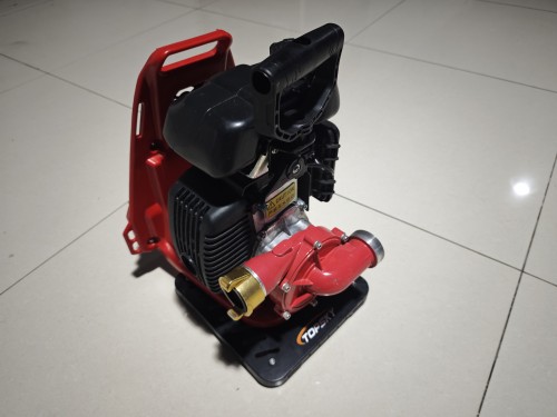 91蜜桃成品人视频入口