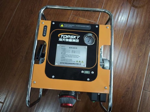 91蜜桃成品人视频入口