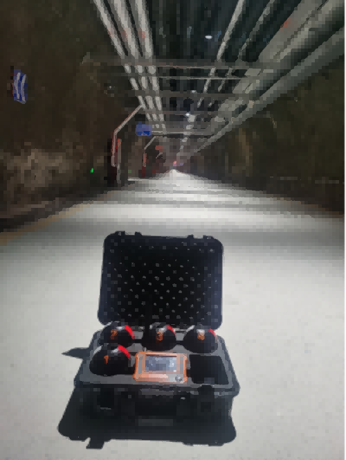 91蜜桃成品人视频入口