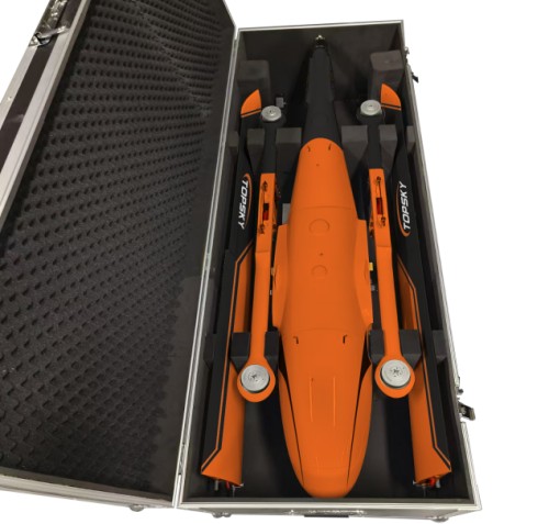 91蜜桃成品人视频入口