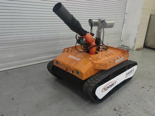 91蜜桃成品人视频入口