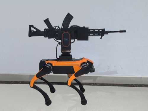 91蜜桃成品人视频入口