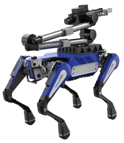 91蜜桃成品人视频入口