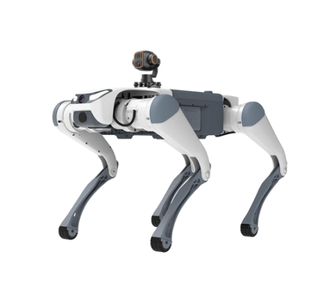 91蜜桃成品人视频入口