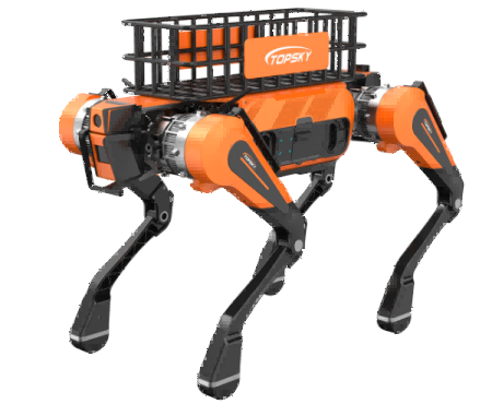 91蜜桃成品人视频入口