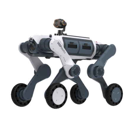 91蜜桃成品人视频入口