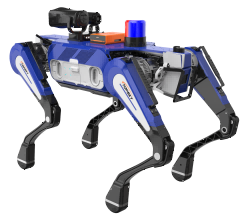 91蜜桃成品人视频入口